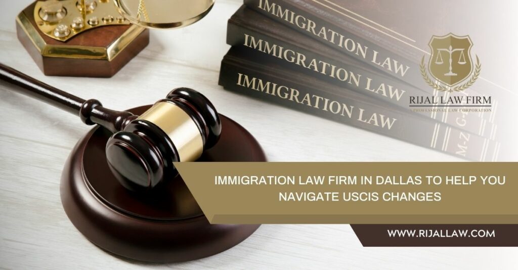 Immigration Law Firm in Dallas